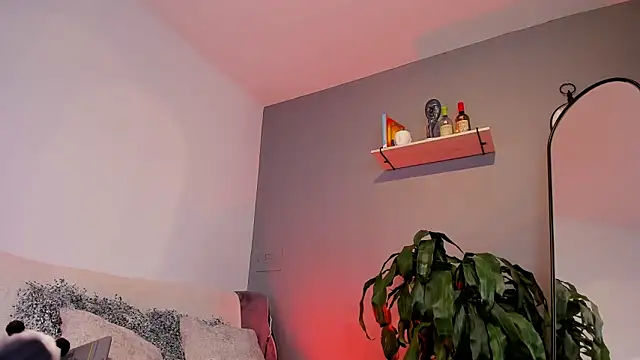 jaxon colton online show from 01-27-25, 03:39