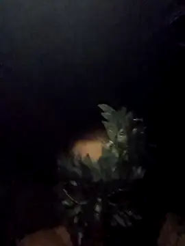 Buffshagswell online show from 09-15-25, 05:29