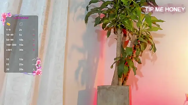 juanmiss online show from 02-03-25, 09:41