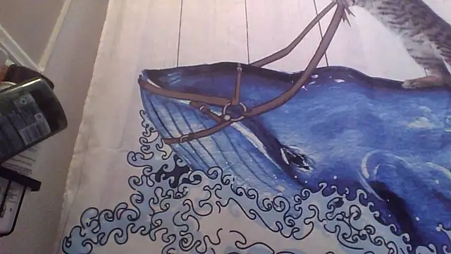 clitstitsandbongrips online show from 09-16-25, 06:03