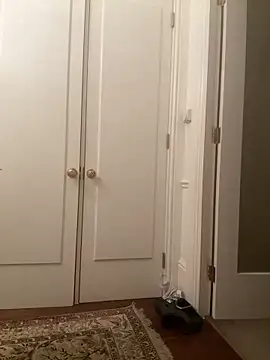 francaFerrariRoma online show from 12-28-24, 03:26