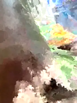 Snapshot of TalkedMarshals chatting on 11-27-25, 05:09 TalkedMarshals online show from 11-27-25, 05:09