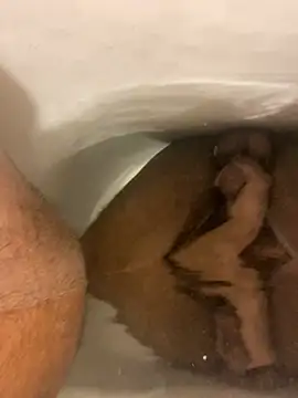 SensualG300 online show from 01-17-26, 03:00