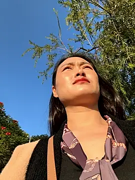 Lfeiji online show from 11-26-25, 08:37