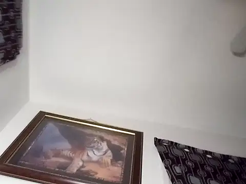 Snapshot of gemini12838 chatting on 01-13-25, 02:39 gemini12838 online show from 01-13-25, 02:39