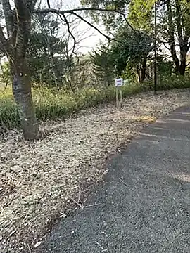 Hideen-real-face online show from 02-18-26, 06:53