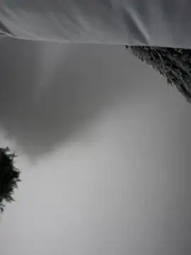 Aryrosee online show from 01-03-25, 03:49