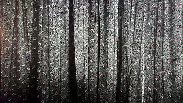 ChloeTurner  online show from 12-20-24, 02:49