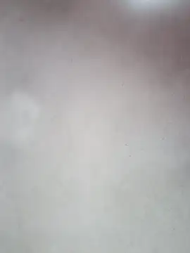  violetta - online show from 10-12-25, 12:59