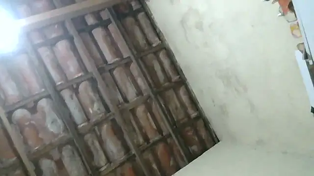 pornstarbrezillian online show from 10-16-25, 07:59