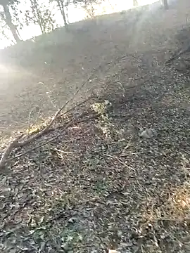 jellydicks online show from 02-21-26, 02:01