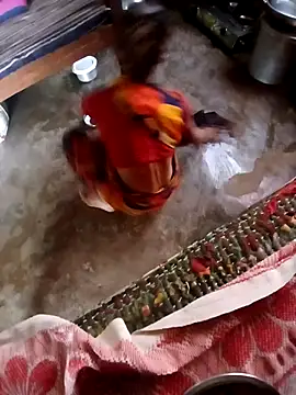 poojaji2024 online show from 12-04-24, 04:54