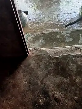 poojaji2024 online show from 02-21-25, 05:35