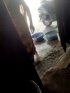 poojaji2024 online show from 03-16-25, 04:41