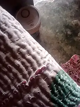 poojaji2024 online show from 03-23-25, 05:54