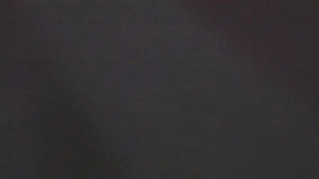 Zoeth Ruiz online show from 01-04-25, 03:39