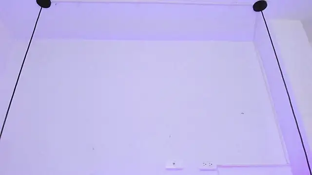 Zoeth Ruiz online show from 01-29-25, 12:45