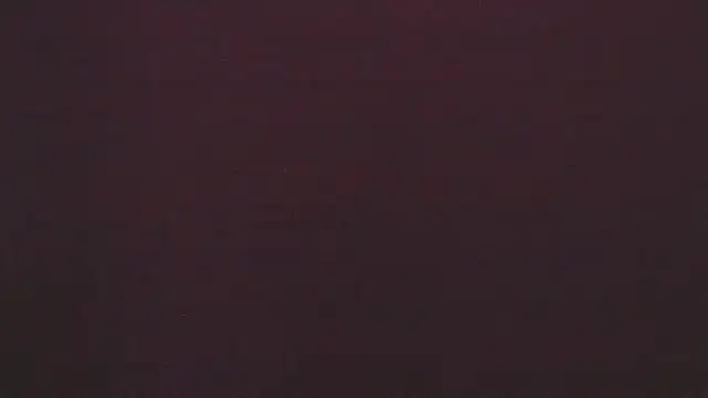 Zoeth Ruiz online show from 02-06-25, 03:20