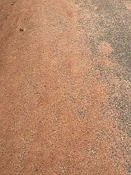 Black mamba madingo online show from 03-20-25, 07:47