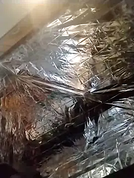 Snapshot of axelongshaft69 chatting on 12-19-24, 01:50 axelongshaft69 online show from 12-19-24, 01:50