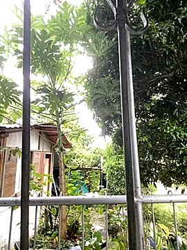 Snapshot of Jestebanano chatting on 10-18-25, 08:20 Jestebanano online show from 10-18-25, 08:20