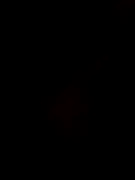 Gujrat player online show from 12-28-24, 02:53