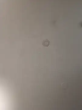 Snapshot of geilerschwanz64 chatting on 01-15-25, 08:37 geilerschwanz64 online show from 01-15-25, 08:37
