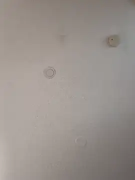 Snapshot of geilerschwanz64 chatting on 01-18-25, 04:31 geilerschwanz64 online show from 01-18-25, 04:31