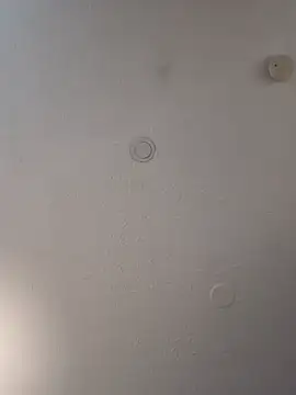 Snapshot of geilerschwanz64 chatting on 02-19-25, 07:05 geilerschwanz64 online show from 02-19-25, 07:05