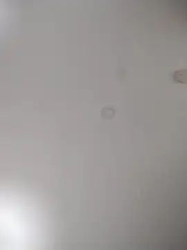 Snapshot of geilerschwanz64 chatting on 10-24-25, 07:05 geilerschwanz64 online show from 10-24-25, 07:05