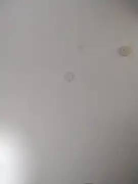 Snapshot of geilerschwanz64 chatting on 10-27-25, 02:15 geilerschwanz64 online show from 10-27-25, 02:15