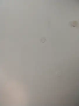 Snapshot of geilerschwanz64 chatting on 11-26-25, 08:21 geilerschwanz64 online show from 11-26-25, 08:21