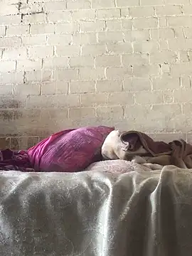 Sweet   Dick online show from 01-30-25, 07:18