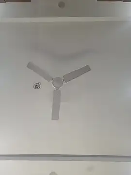 Archi-07 online show from 10-29-25, 07:04