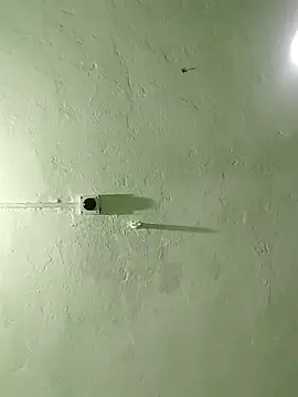 Snapshot of RADHAHO chatting on 10-29-25, 08:32 RADHAHO online show from 10-29-25, 08:32