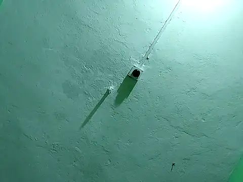 Snapshot of RADHAHO chatting on 11-02-25, 09:50 RADHAHO online show from 11-02-25, 09:50