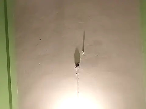 Snapshot of RADHAHO chatting on 11-04-25, 05:34 RADHAHO online show from 11-04-25, 05:34