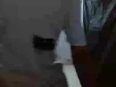 latino hotxxx online show from 10-20-25, 11:27