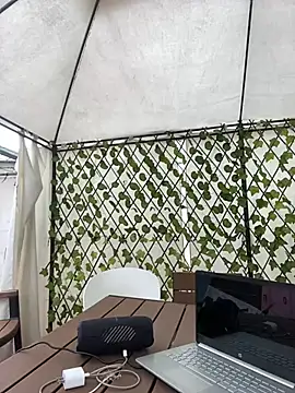 im lorein online show from 02-21-25, 03:10