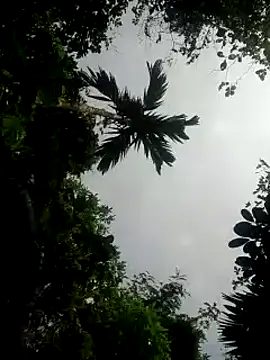 Snapshot of kumaricapalsex2 chatting on 01-26-25, 05:34 kumaricapalsex2 online show from 01-26-25, 05:34