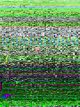 ahross online show from 10-13-25, 09:53