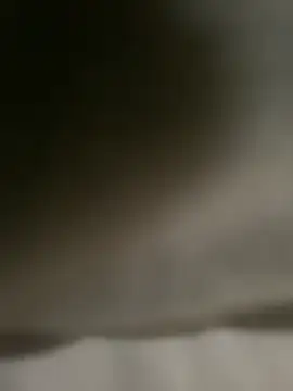 Snapshot of DINA-FOX chatting on 02-01-25, 02:02 DINA-FOX online show from 02-01-25, 02:02