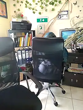 NAJWA-ARAB online show from 01-15-25, 02:24