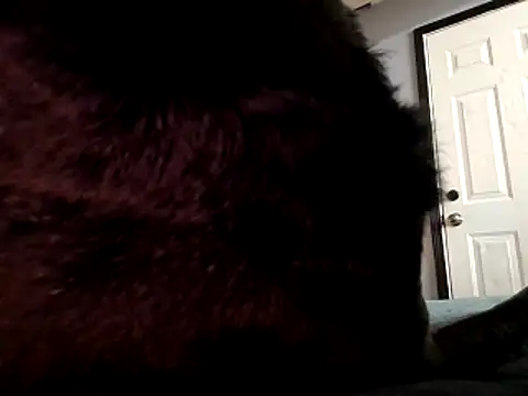 Snapshot of DevinToore chatting on 10-29-25, 03:31 DevinToore online show from 10-29-25, 03:31