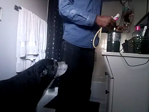 Snapshot of DevinToore chatting on 10-31-25, 10:33 DevinToore online show from 10-31-25, 10:33