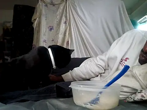 DevinToore online show from 12-15-25, 06:01