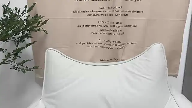 Snapshot of Arrebo1 chatting on 12-04-24, 02:37 Arrebo1 online show from 12-04-24, 02:37