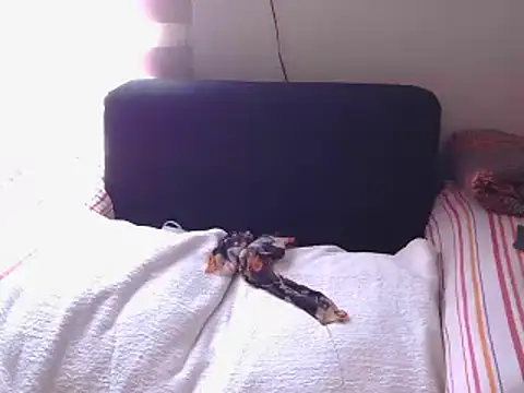 Snapshot of Mollybrookexx chatting on 12-11-24, 08:04 Mollybrookexx online show from 12-11-24, 08:04