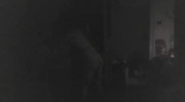 Snapshot of Just_Gabriella chatting on 03-17-25, 01:18 Just Gabriella online show from 03-17-25, 01:18