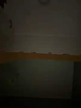 Lecatore80 online show from 11-16-25, 09:04